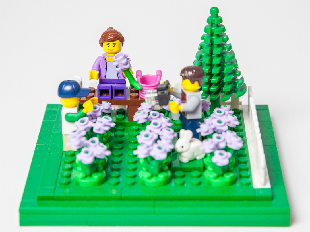 Lavender Field Lego design and photos - Door County Bricks